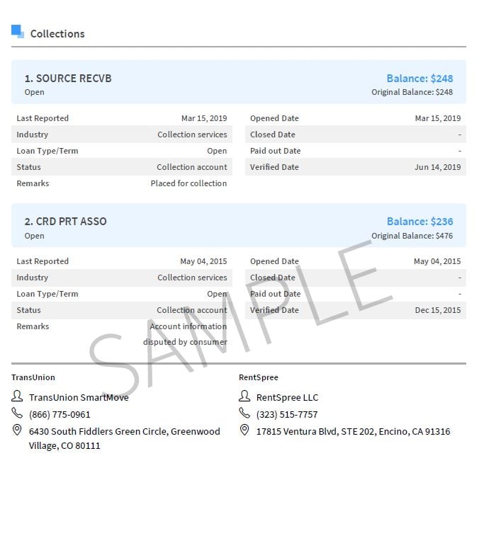 credit report government